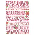 thumbnail image 1 of Cuadros Decorativos Bordado parcial 14CT DIY Rose Board Impreso Kit de punto de cruz Costura Sywqhk Nuevos Originales, 1 of 9