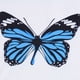 thumbnail image 3 of Awdenio Liquidación de camisetas casuales de manga corta para mujer, túnicas, tops de verano para mujer, blusas de manga corta con estampado de mariposas y hombros descubiertos, tallas grandes, 3 of 4