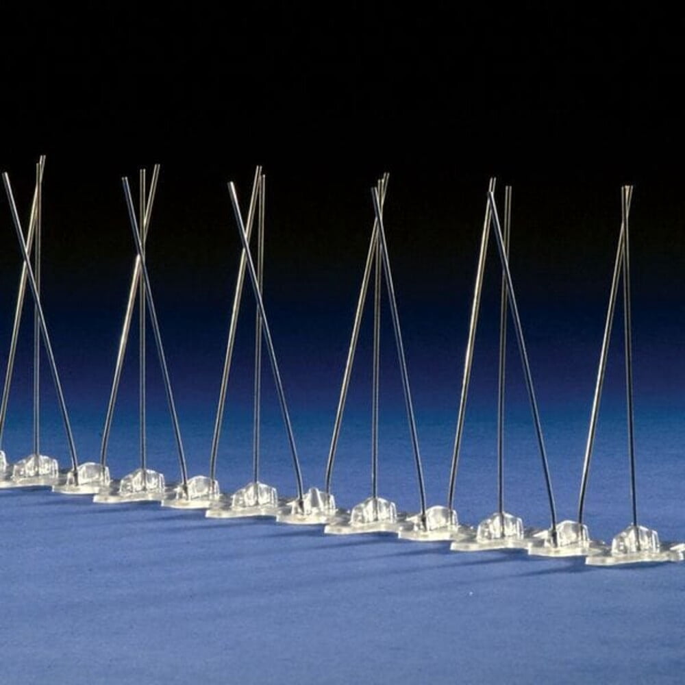 Bird Repellent Spikes,Bird-Flite, 25 ft. BP-F125