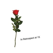 In Retrospect at 15 (Hardcover)