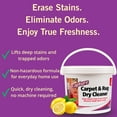 thumbnail image 4 of Capture Carpet & Rug Cleaner Powder, Fresh Scent, with Resealable Lid, 8 lb Pail, 4 of 12