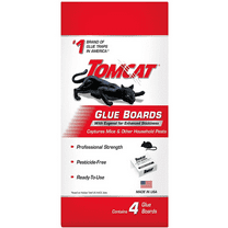 Tomcat Glue Boards, With Eugenol for Enhanced Stickiness - For Mice and Insects, 4 Traps