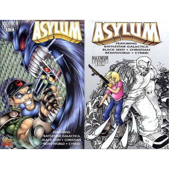 Asylum (Maximum) #5 VF ; Maximum Comic Book