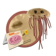 GIANTmicrobes E. Coli Plush  Learn About The Importance of Gut Health and Food Safety with This Unique Fun Gift for Families, Teachers, Chefs, Doctors, Gastroenterologists, Students and Scientists