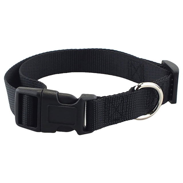 Collier pour Chat Couleur Unie Polyester Réglable Collier Universel pour Chiot Collier pour Chaton