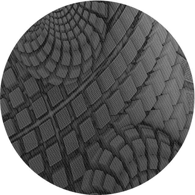 Ahgly Company Tapis d'Intérieur Rond Lavable en Machine Transitionnel Charbon Noir, 7 Pieds Rond