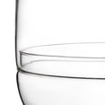 thumbnail image 4 of Bloomingville Large Egg Shaped Glass Terrarium, Clear, 4 of 9