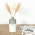 thumbnail image 2 of Heart - 7" Vase with Pampas Grass, 2 of 9