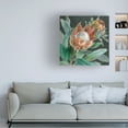thumbnail image 3 of Danhui Nai 'Deep Tropical Protea Crop' Canvas Art, 3 of 4