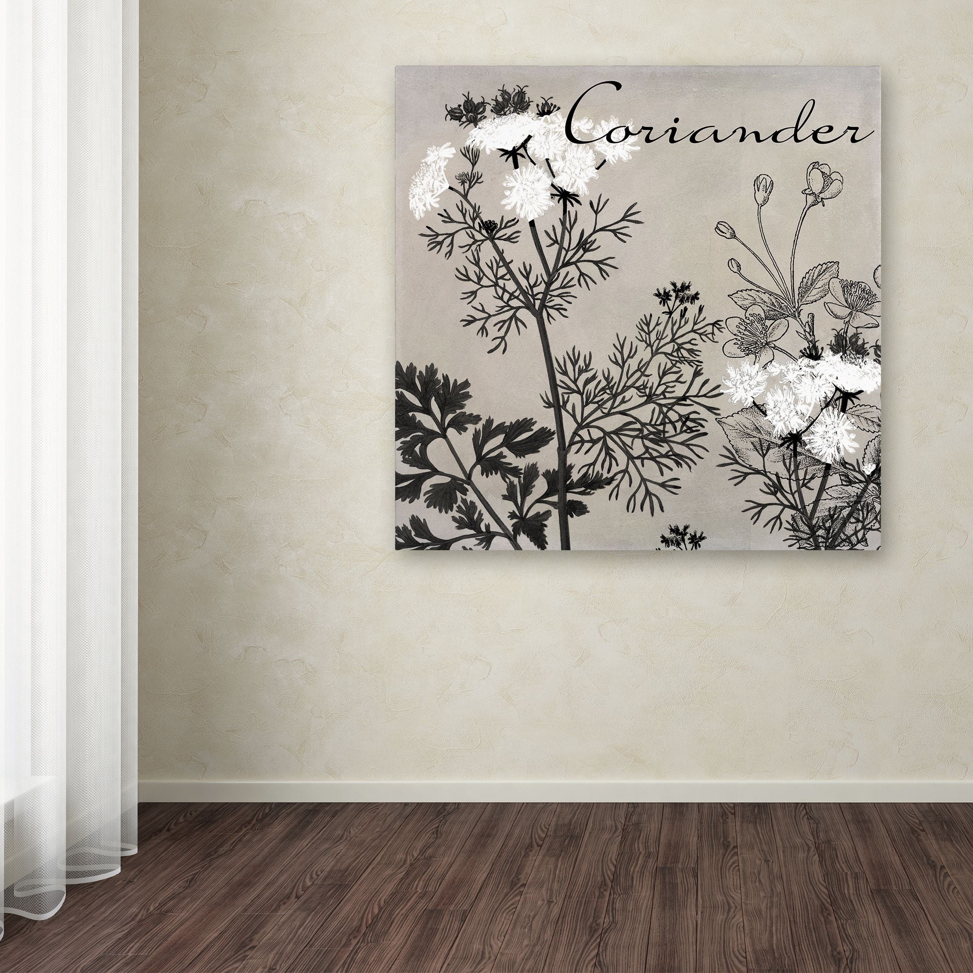 Trademark Fine Art "Flowering Herbs IV" Canvas Art by Color Bakery