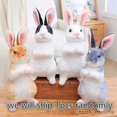 thumbnail image 1 of Stuffed Plush Animals 1pc Randomly Realistic Cute Plush Rabbits Lifelike Animal Photo Props Bunny Toy Model Birthday Gift R231110, 1 of 6