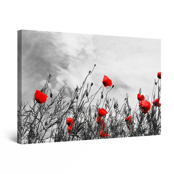 Startonight Canvas Wall Art Abstract - Black and White with Red Poppies - Framed 24" x 36" 