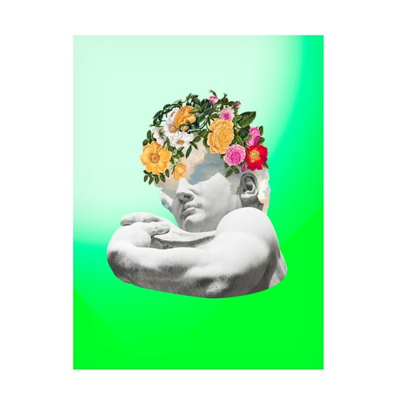 Trademark Fine Art Melissa Wang Renaissance David II Canvas Wall Art