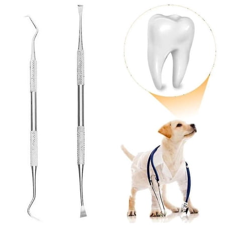 Professional Dental Tools, Dog Dental Tooth Scaler And Scraper Stainle ...