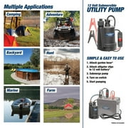 Superior Pump 91012 Submersible Utility Water Pump 12 Volt with 20 Foot Cord