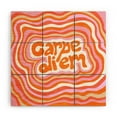thumbnail image 1 of Society6 SunshineCanteen Carpe Diem Retro Wood Wall Mural 4' x 4', 1 of 1