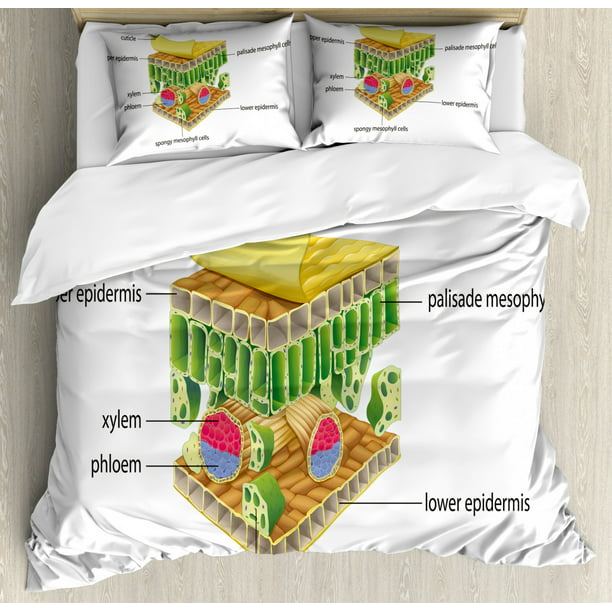 Educational King Size Duvet Cover Set, Does A King Size Duvet Look Better On Double Bedsheet