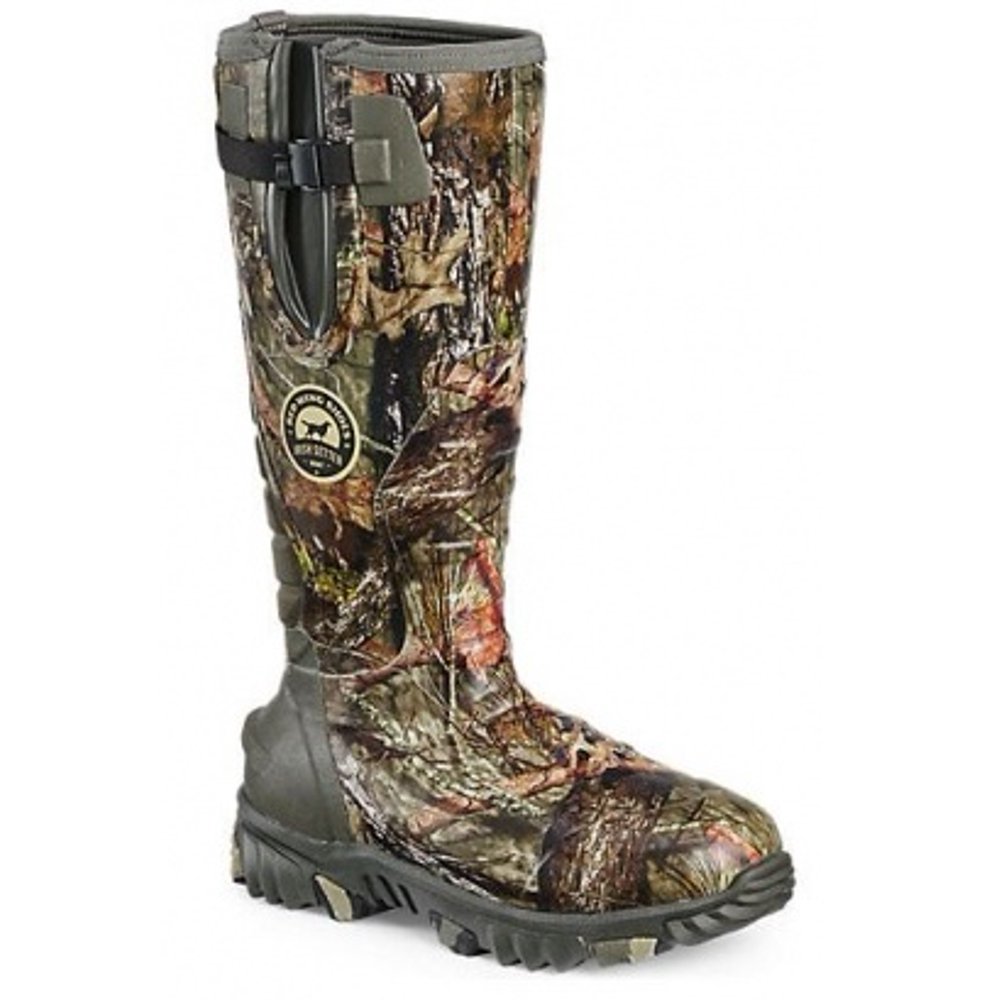 irish setter 839