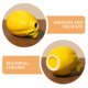 thumbnail image 5 of Jarrón de cerámica con forma de limón para arreglos florales, centro de mesa decorativo moderno para la mesa de la cocina, decoración de escritorio, adorno único para el hogar, 5 of 7
