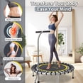 thumbnail image 6 of SkyBound Foldable Mini Trampoline.Fitness Rebounder with Adjustable T-Bar Handle - Exercise Trampoline for Adult -  Boogie Bounce Elite Fitness Trampoline for Workout Trainer, 6 of 8