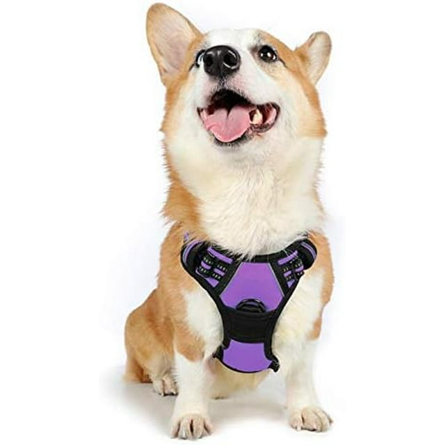 rabbitgoo No-Pull Pet Harness with 2 Leash Clips Adjustable Soft Padded Reflective No-Choke Pet Oxford Vest with Easy Control Handle for Large Dogs Pink L
