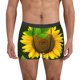thumbnail image 1 of Fotbe Sunflower3 Calzoncillos Tipo Boxer con Bolsa de Soporte Total para Hombre, X-Temp Fresco, Transpirable y de Secado Rápido-Large, 1 of 5