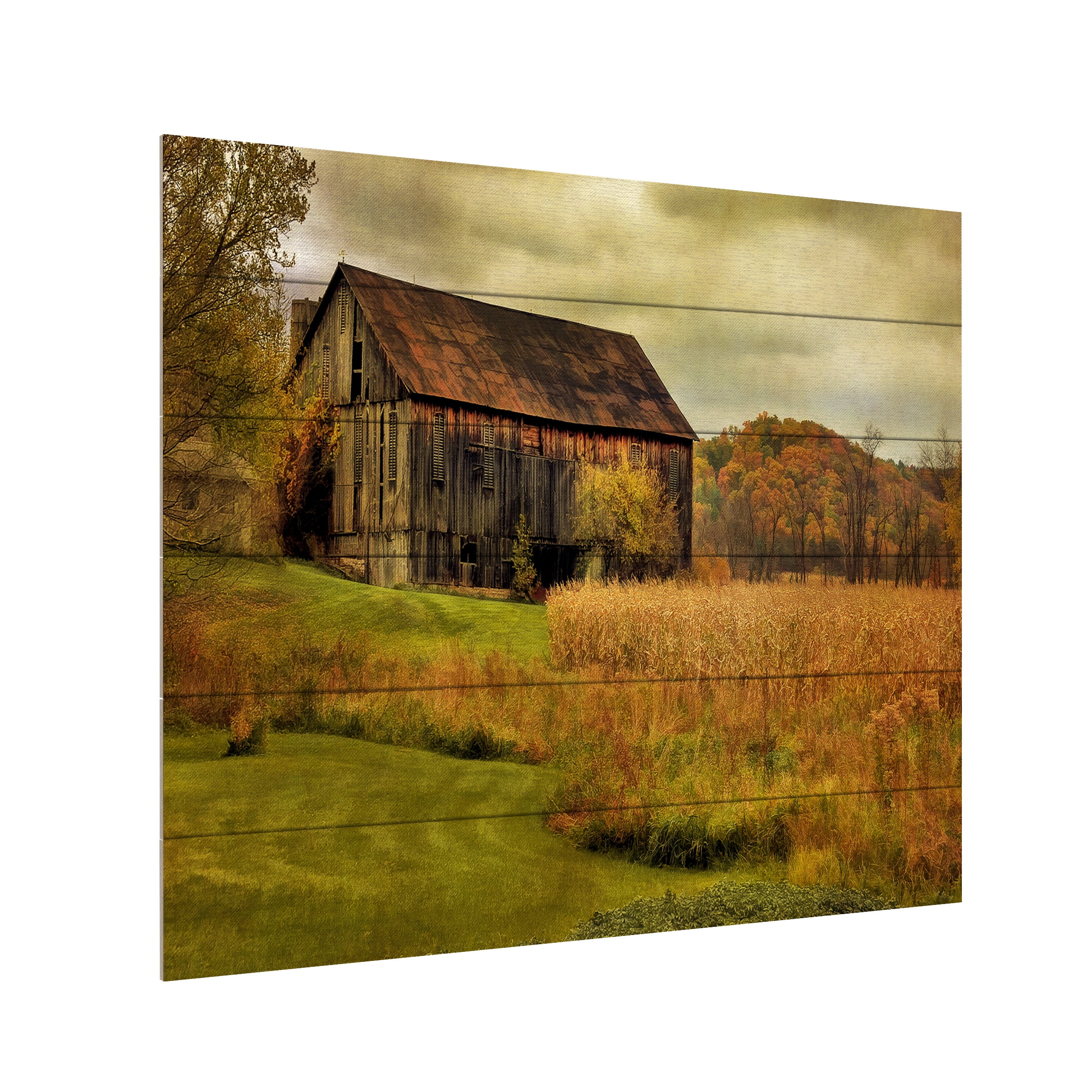 Trademark Fine Art 'Old Barn on Rainy Day' Wooden Wall Art Art by Lois Bryan