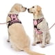 thumbnail image 2 of Arnés para perros NESTROAD, chaleco Oxford ajustable sin tirones, pequeño, 2 of 8