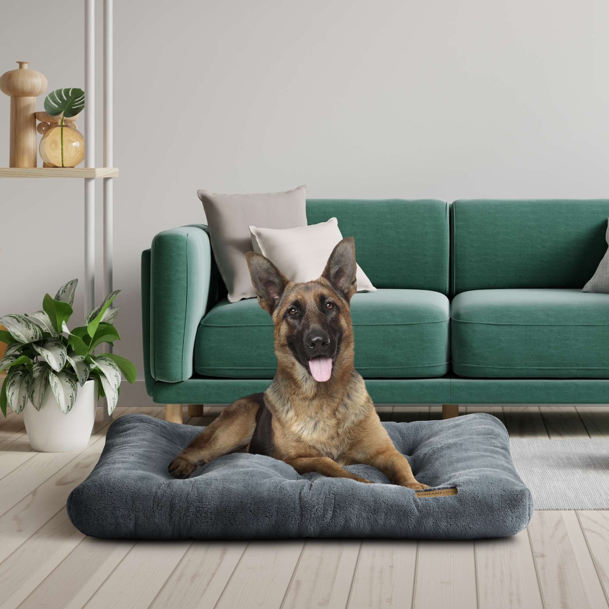 (2 pack) Vibrant Life Large Dog Bed, Plush Pillow Bed For Large Breeds, Large, 42" x 32", Grey