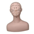 thumbnail image 1 of Baohd Practice Training Mannequin Multifunction practice training for Massage eyelash extension Home Black, 1 of 9