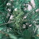 thumbnail image 2 of Arbol de Navidad Artificial JARDIMEX 210 cm Pino Follaje Verde, 2 of 7