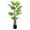 Green 8G, variant on Indoor Plants 57" Artificial Monstera Deliciosa Plant with Pot,Artificial Flowers