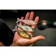 thumbnail image 3 of 6th Sense - Plump Panorama – Bass Fishing Lure – Extra Thick Body, Realistic Baitfish Profile, Multi-Purpose Soft Plastic (3/pk), 3 of 6
