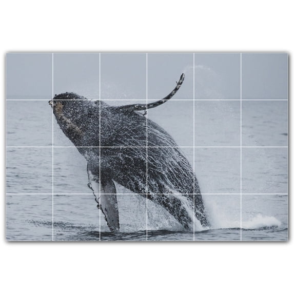 Picture-Tiles.com: Whale Ceramic Tile Wall Mural WAL501190-64M. 36"W x 24"H using (24) 6" x 6" Ceramic Tiles-Satin Finish
