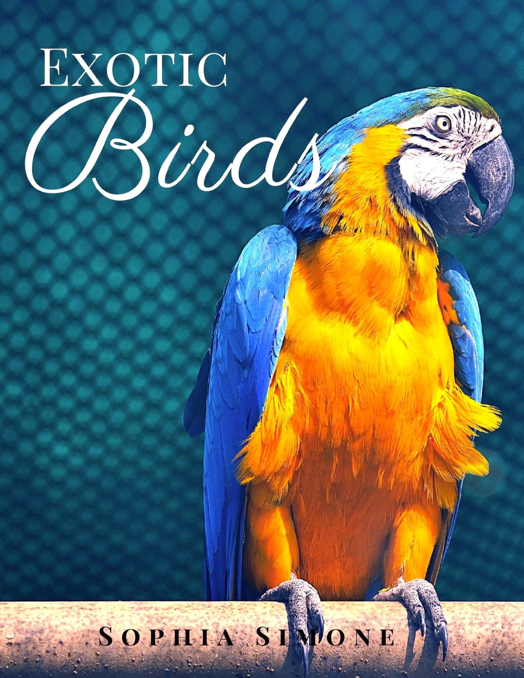 Exotic Birds A Beautiful Nature Picture Book Photography