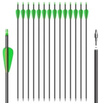 14 Pack 31" Archery Carbon Arrows,Practice Hunting Arrow with Removable Tips Shaft Spine 500 Suitable for Recurve Bows