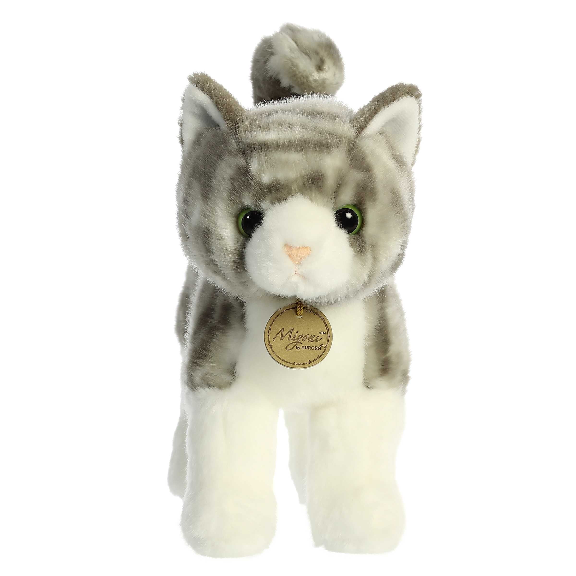 Miyoni by aurora cat online