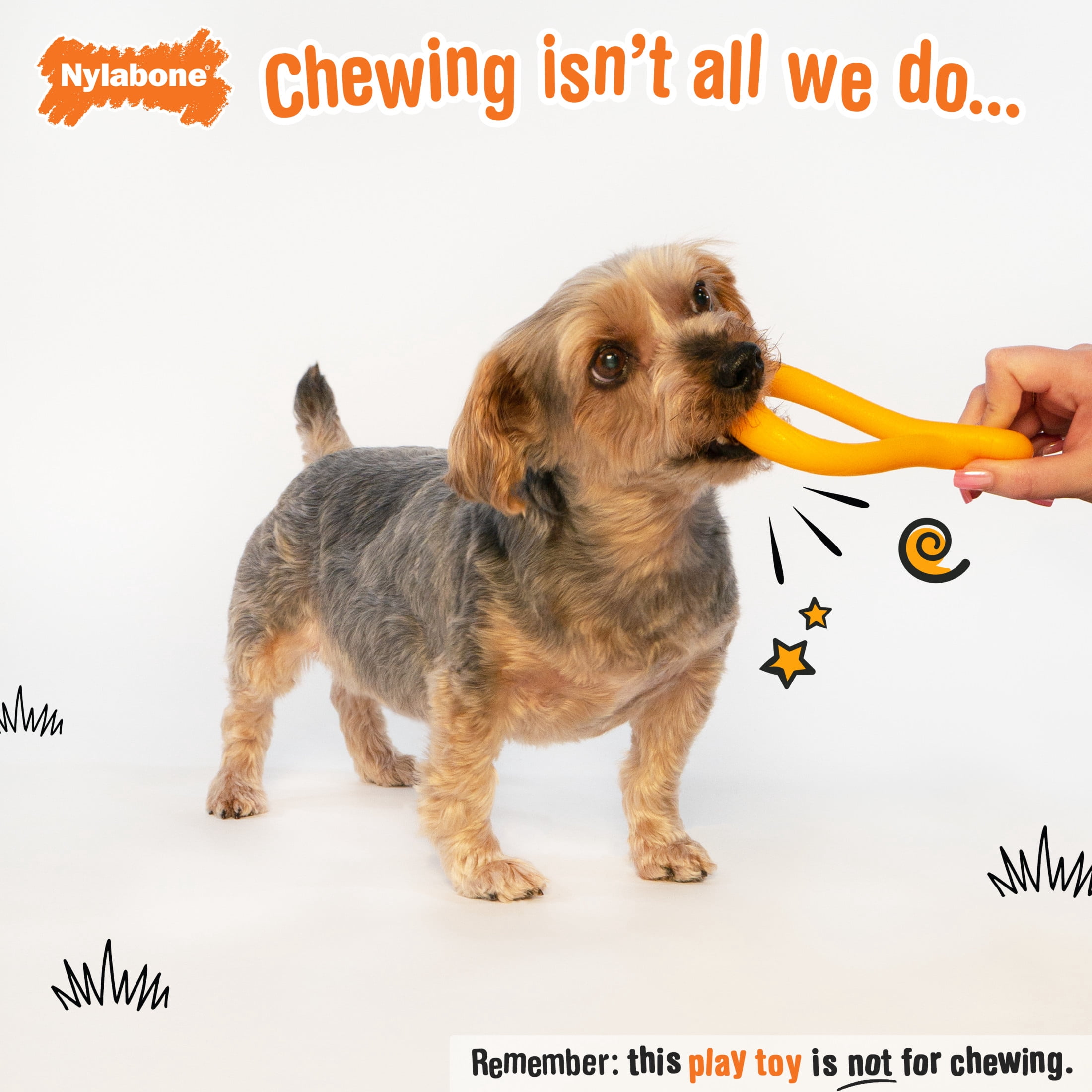 Nylabone Tuug Interactive Small Dog Toy for Dog Enrichment, Firm Yet Flexible Dog Tug Toy
