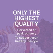 Host Defense Lions Mane - 60 Capsules (30 Servings)