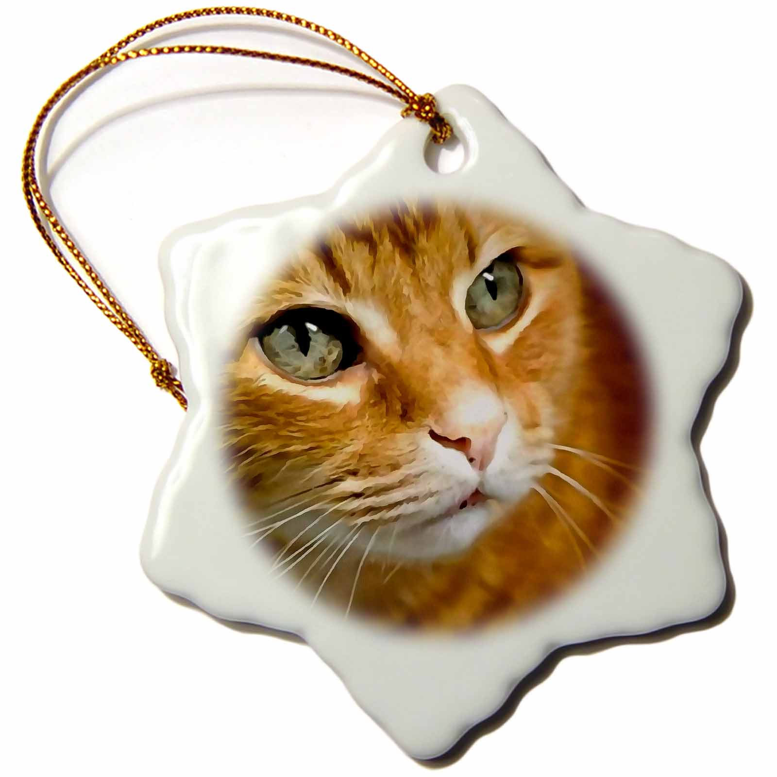 3dRose Adorable Ginger Tabby Cat Posing Snowflake Ornament, 3inch