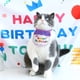thumbnail image 2 of Sombrero de cumpleaños para mascotas Yuarrent Púrpura 6 pulgadas, 2 of 6