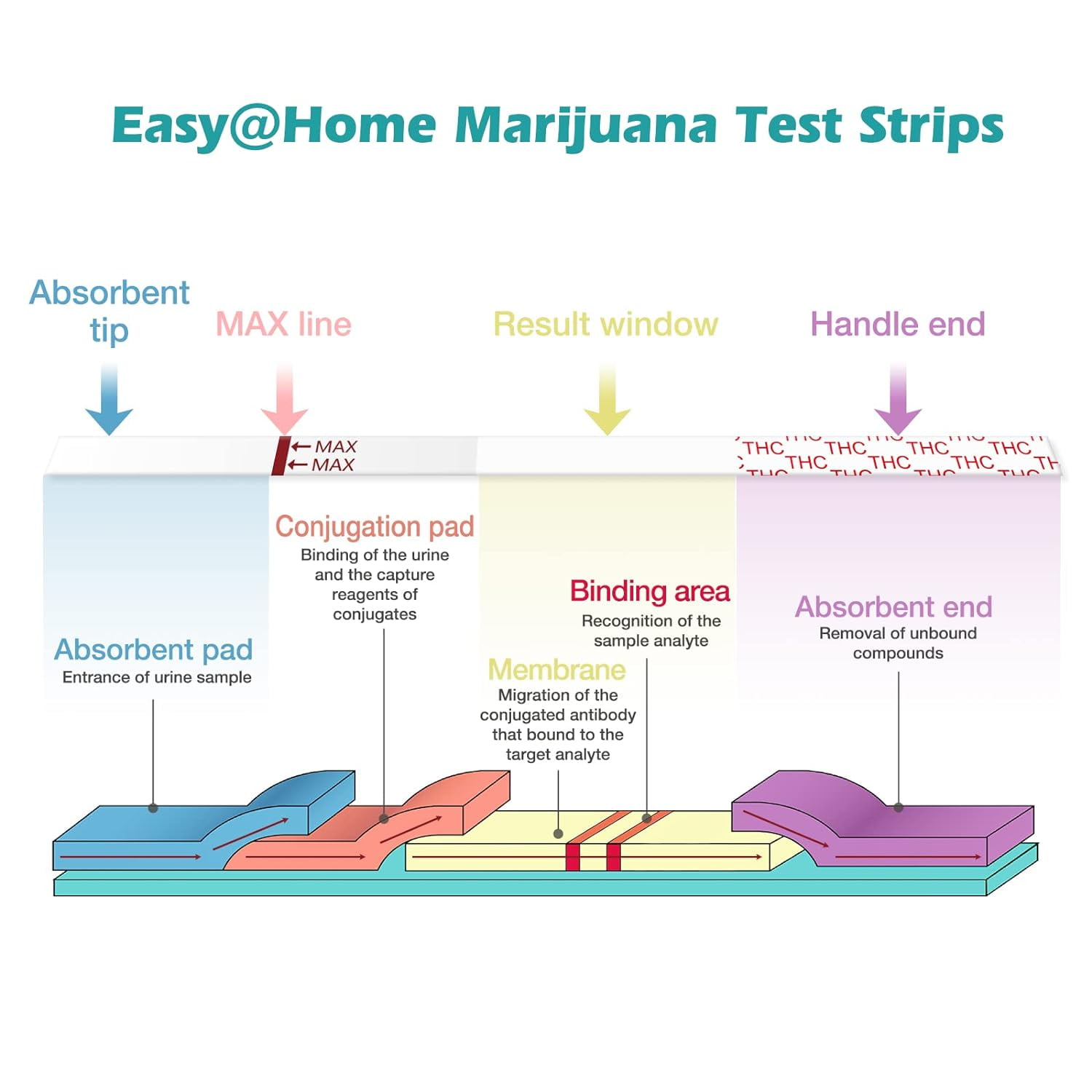 Easy@Home Marijuana THC Urine Drug Test Strips, 10 Pack