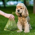 thumbnail image 6 of Biodegradable Dog Poop Bags with Poop Bag Dispenser, Scented Leak-Proof Pet Waste Bags with Paw Print Design, 1 Roll D#094 green, 6 of 6
