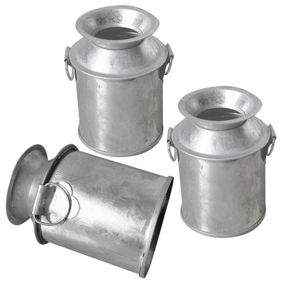 3 Pcs Small Vases Buckets Succulent Flower Pot Miniature Decorative Accessories