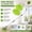 Green, variant on Wall Cleaner Max 66'' Mop with Long Handle, Ceiling Dust Mop with 15° Extension Pole, Baseboard Duster Scrubber, High Reach Window & Roof Cleaning Tool