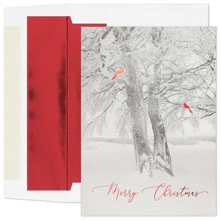 Masterpiece Studios Holiday Collection Premium 15-Count Boxed Embossed Christmas Cards with Foil-Lined Envelopes, 7.8" x 5.6", Cardinal Tree (978200)