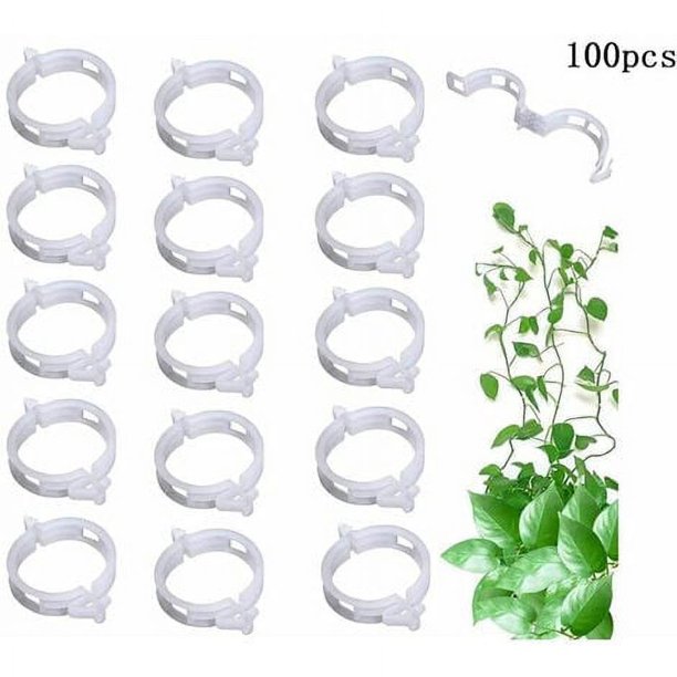 100 pinzas para tomates, pinzas para plantas, pinzas para injertos, pinzas de soporte para plantas de jardín para que los tallos de tomates crezcan rectos y más saludables, pinzas reutilizables de 3