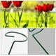 thumbnail image 2 of 10 piezas de enrejado de soporte para plantas trepadoras de interior, flores, plantas de interior, decoración exterior, arte de hierro para jardín., 2 of 6