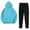Sky Blue #01, variant on Busydd Sweat Suits for Womens 2 Piece Solid Color Workout Sets for Women Casual Long Sleeve Hoodies and Pants Sweatsuits for Women S