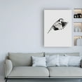 thumbnail image 3 of Trademark Fine Art 'Flying Bird II' Canvas Art by Incado, 3 of 3